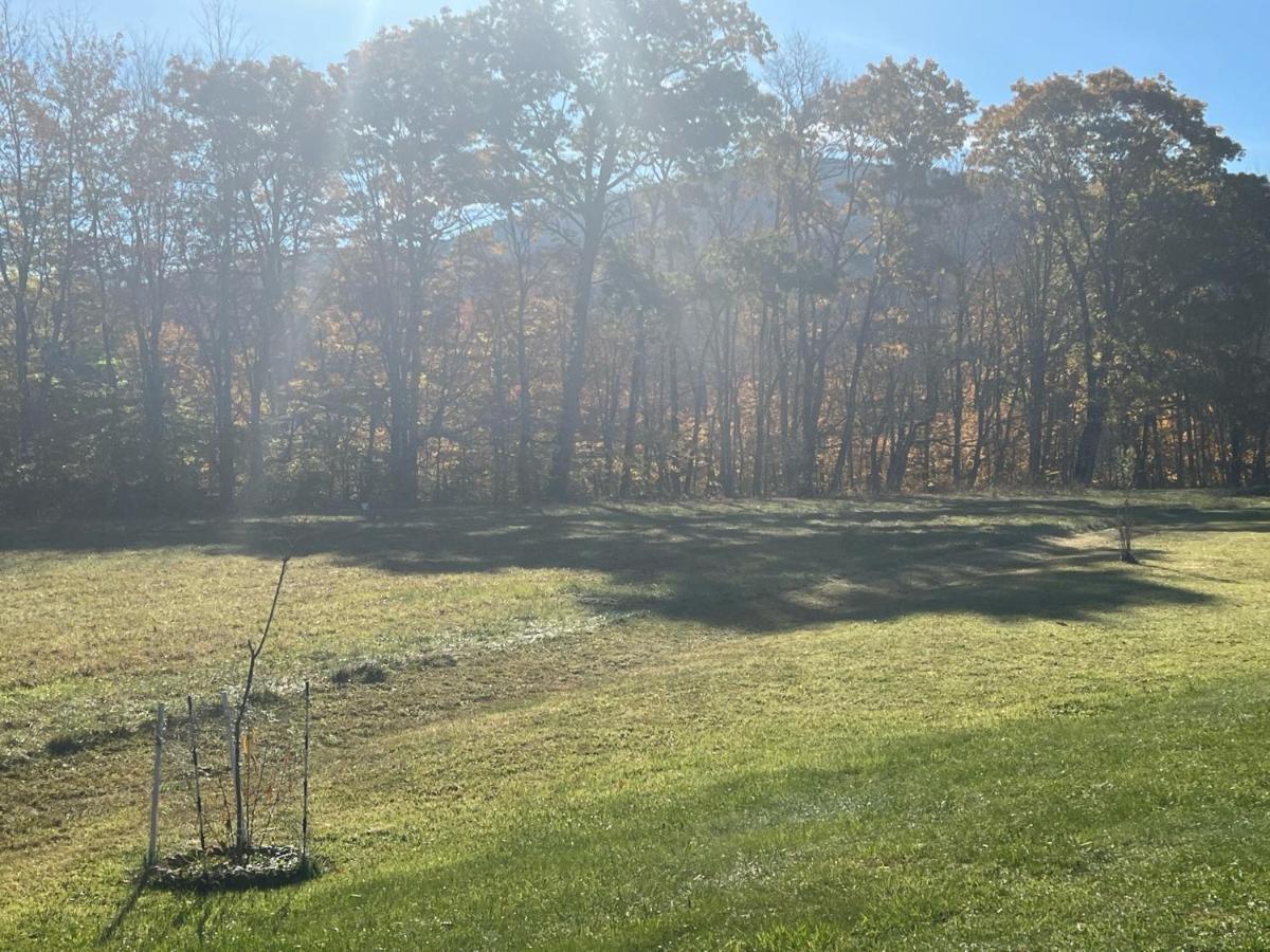Smiths In-Law Suite! Pet Friendly, Hot Tub! Valley Head Esterno foto
